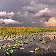 photo "before storm"