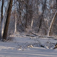 фото "Зимнее настроение."