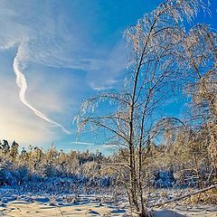 фото "Зимушка"