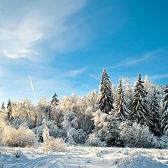 фото "Зимняя сказка"