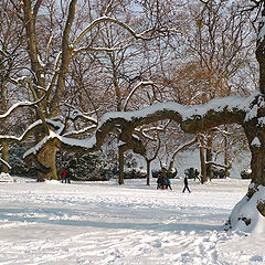 photo "Winter view"