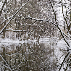 photo "Old Banks"