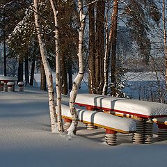 фото "Рождественский  денёк"