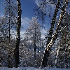 фото "Синий день"