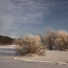 фото "Вместе теплее.."