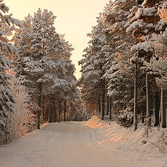 фото "Зима в Калевала"