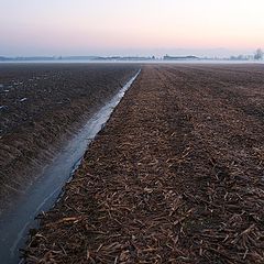 фото "the farm"