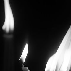 photo "candles"