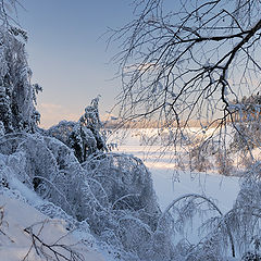 фото "Зимний день."