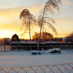 фото "Истекает зимний день… (2011)"