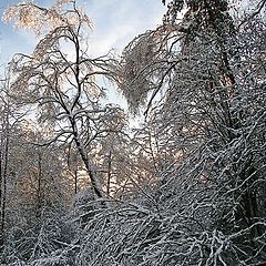 фото "В конце дня"