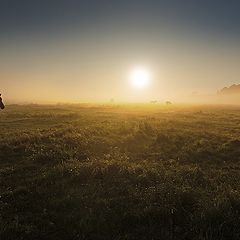 фото "Первые лучи рассвета"