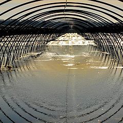 photo "curved lines in the water"