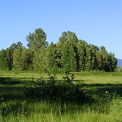 photo "свет и тень ....."
