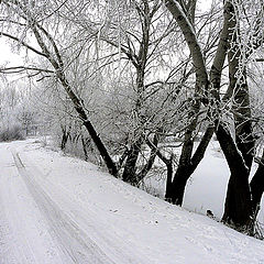 photo "Entering the village"