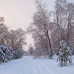 фото "зимнее утро"