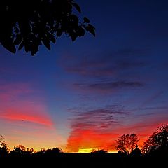 фото "Backyard Sunset"
