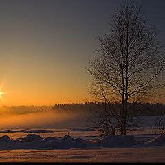 photo "falling asleep in the mist"