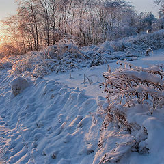 фото "Winter in Moscow"