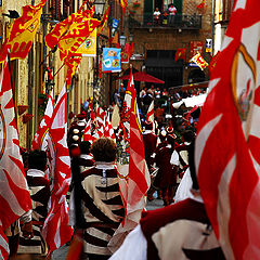 photo "The parade"