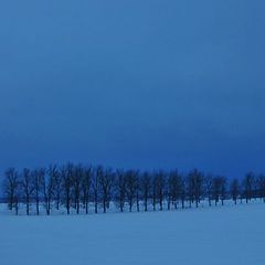 photo "Winter evening"