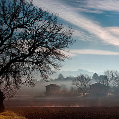photo "Misty dawn"