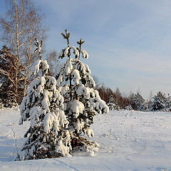 фото "На опушке."