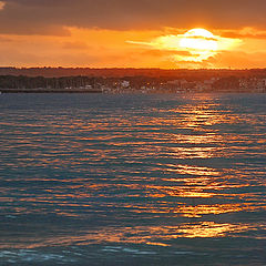 photo "After a storm"