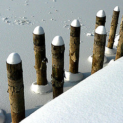 photo "Messengers winter"
