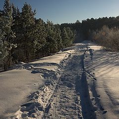 фото "Брызги зимнего солнца.."