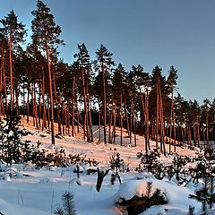 фото "Мороз и солнце..."