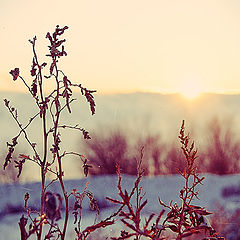 photo "Childhood Winter"