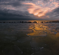 фото "Январские зарисовки"