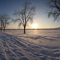 photo "0205_0130-0134"