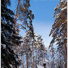 фото "Под высоким небом"