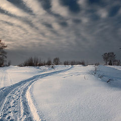 photo "***"