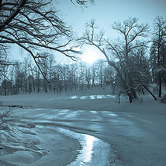 photo "***"
