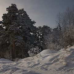 фото "Перламутровый полдень.."