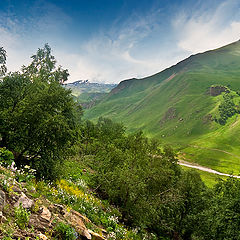 photo "Up the mountainside"