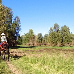 photo "прощай ковбой ....."