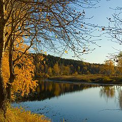 фото "Дятлинка"