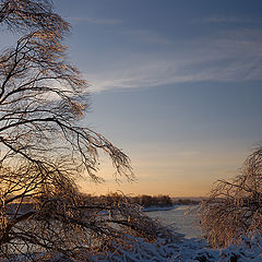 фото "Вечерний свет."