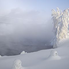 фото "Зимние сны"