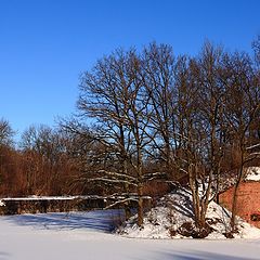 photo "***"