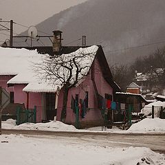 фото "думая о розовом..."