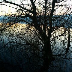 фото "evening on the lake"
