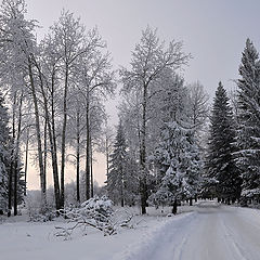 фото "Седая зима"