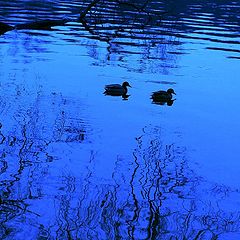 photo "end of day journey"