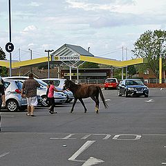 фото "Надо бы припарковаться..."