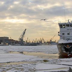 photo "Winter in port"